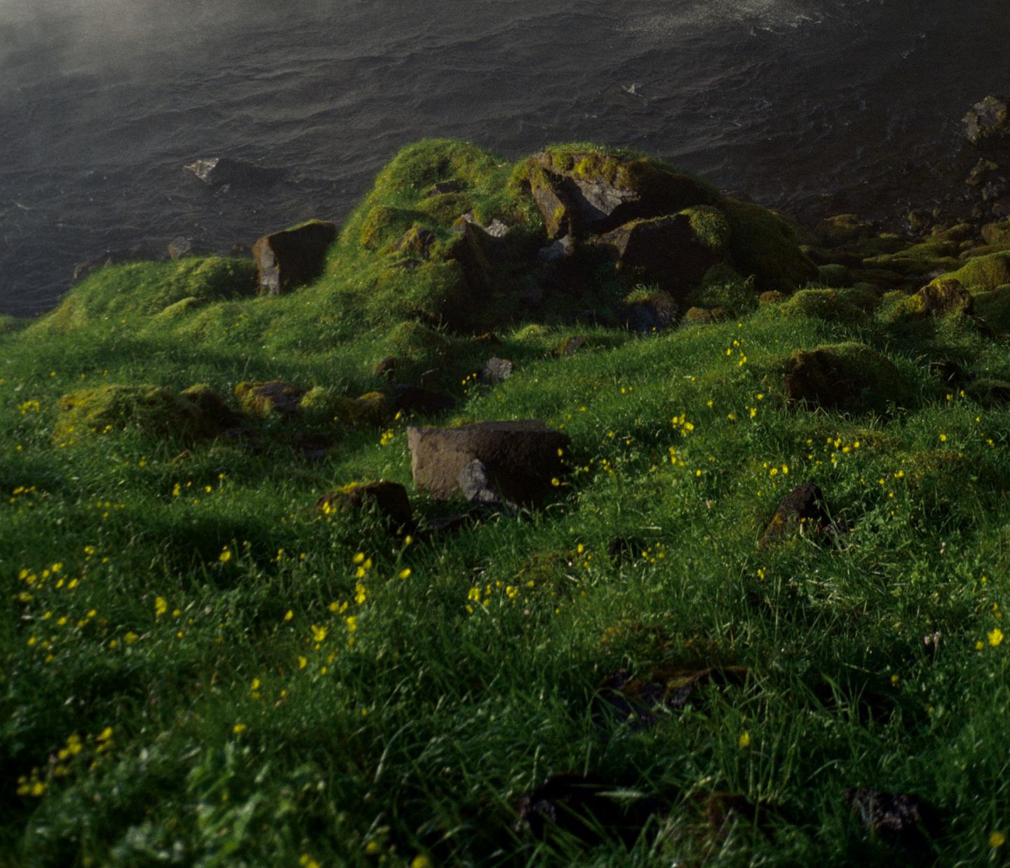Iceland cliffs and ocean